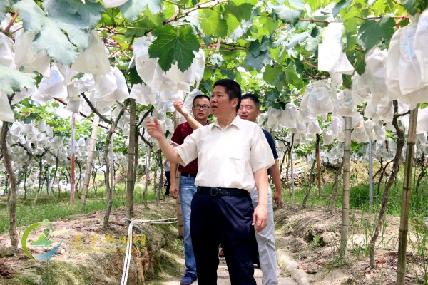 省国寿财险分公司到凤阳镇大石村调研扶贫工作 - 要闻 - 寿宁新闻网