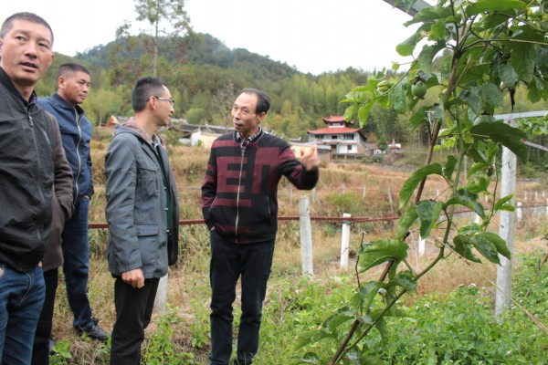 坑底开展人大代表活动 - 学习贯彻十九大精神 - 寿宁新闻网
