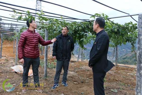 大山里的追梦人 ——寿宁县斜滩镇残疾人"抱团"发展脱贫致富